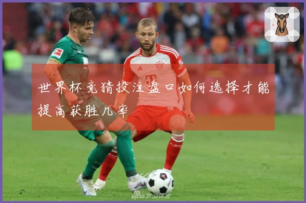 世界杯竞猜投注盘口如何选择才能提高获胜几率