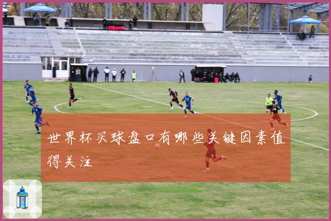 世界杯买球盘口有哪些关键因素值得关注