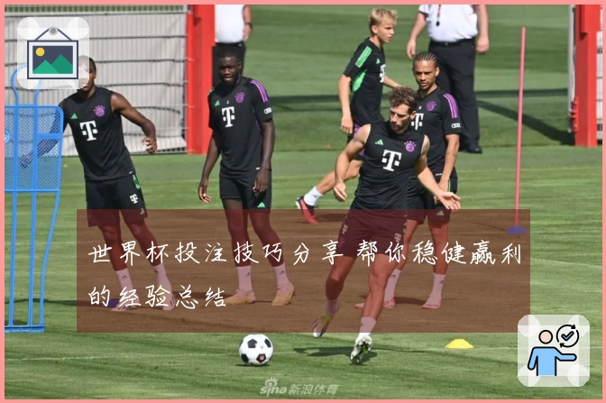 世界杯投注技巧分享 帮你稳健赢利的经验总结