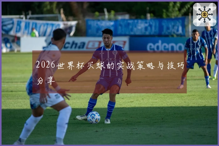 2026世界杯买球的实战策略与技巧分享