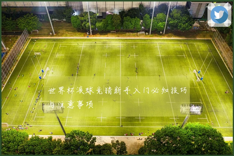 世界杯滚球竞猜新手入门必知技巧与注意事项