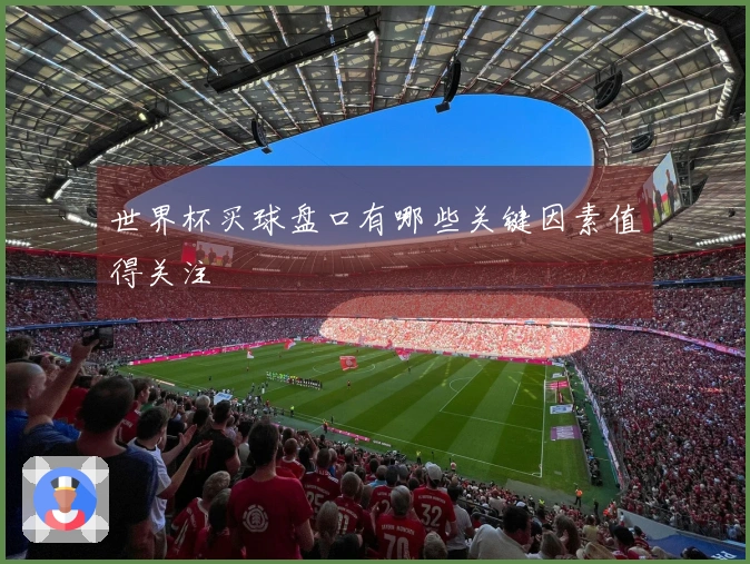 世界杯买球盘口有哪些关键因素值得关注
